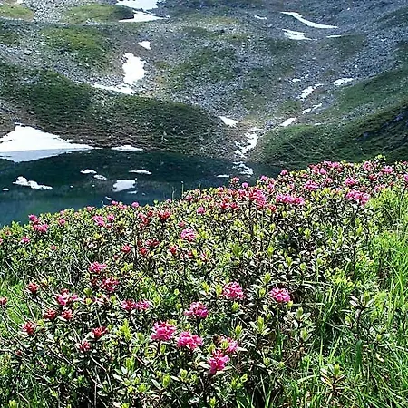 Wanderhotel Kirchner Bramberg am Wildkogel